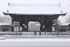 吹雪く東寺南門