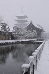 白銀の東寺