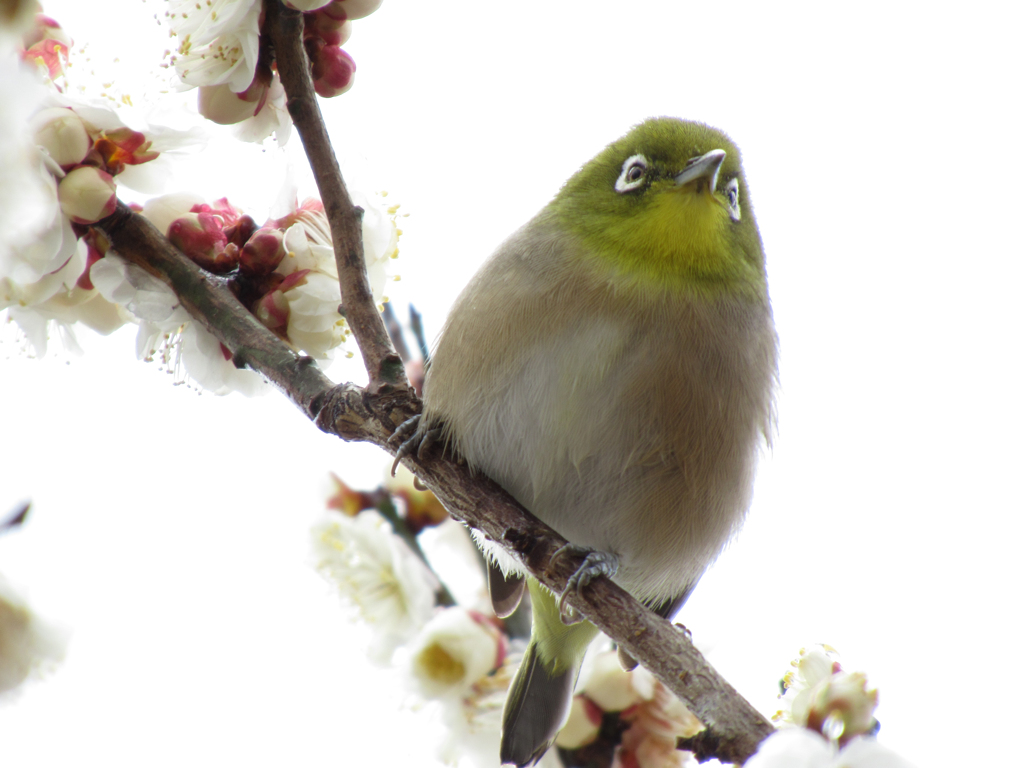 見つめる先に