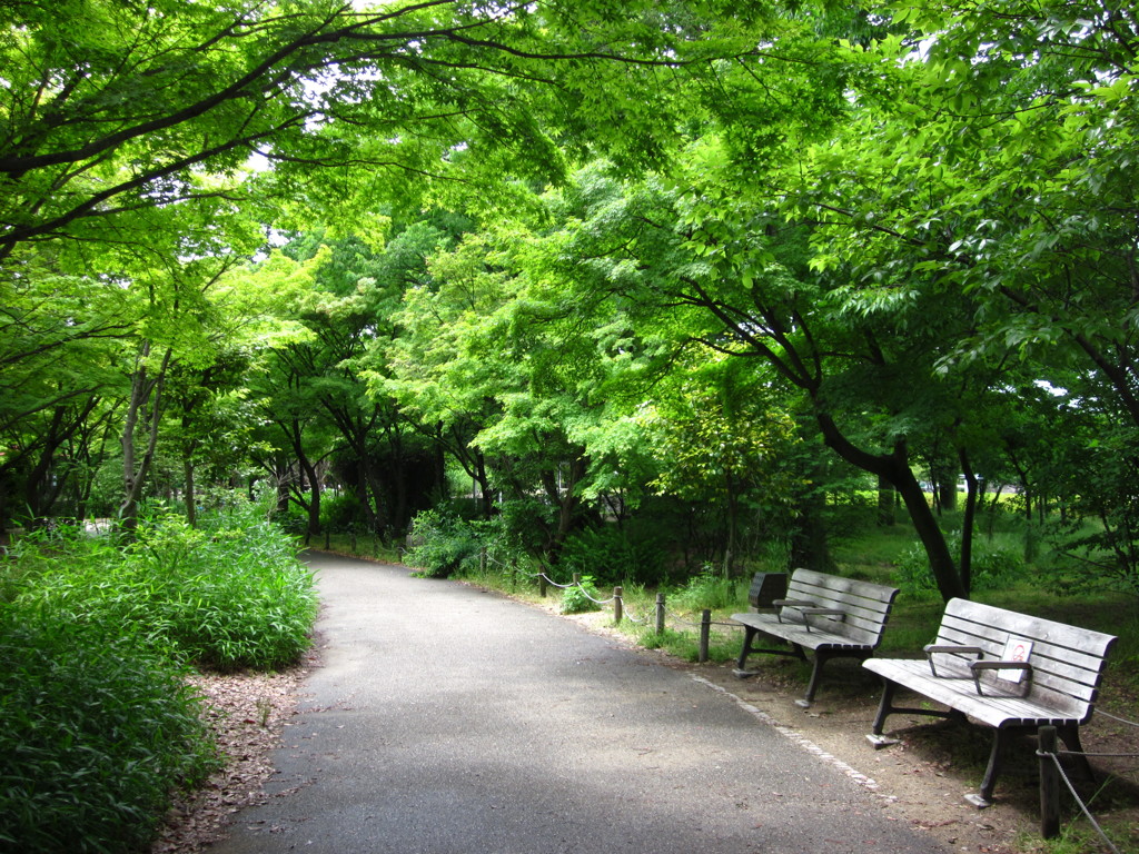 新緑の梅小路公園