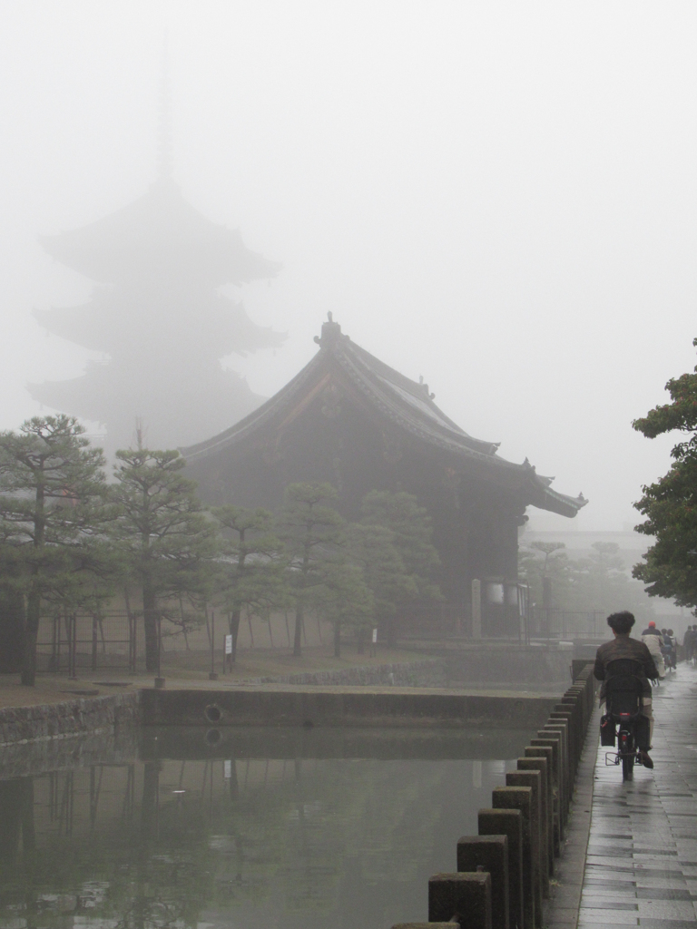 霧にむせぶ朝