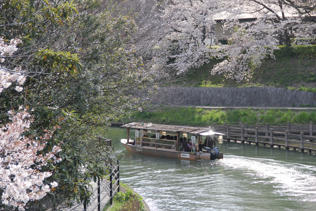 春日和