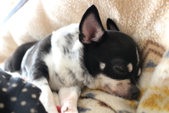 すやすや♪