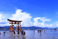 夏の厳島神社