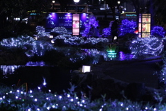NAGOYA AKARI NIGHT