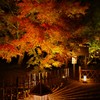 京の秋色