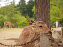 ちょっと休憩