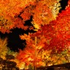 京都の雅