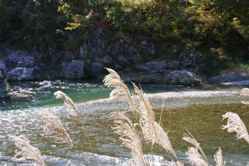 御岳渓谷