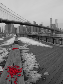 Brooklyn bridge