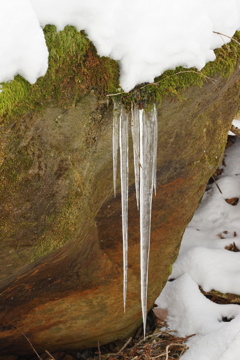氷柱
