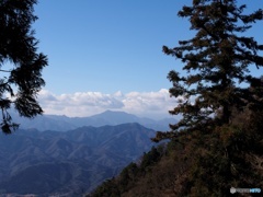 扇山登山道から