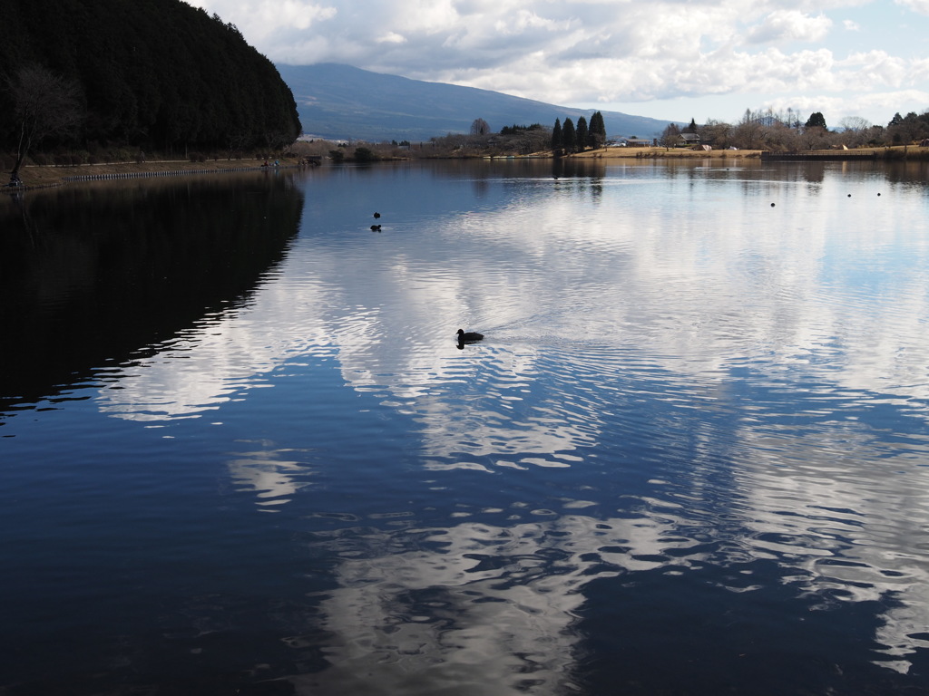田貫湖（鴨）
