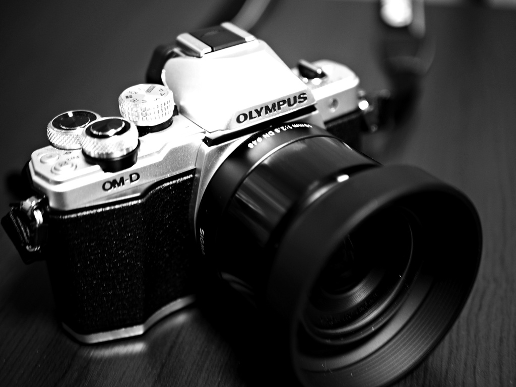 OM-D&SIGMA19mmF2.8DN