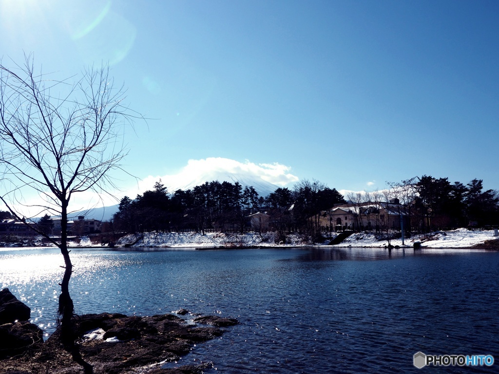 河口湖（大池公園）