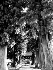 川口浅間神社２