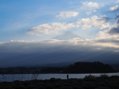 富士山（河口湖大石公園）