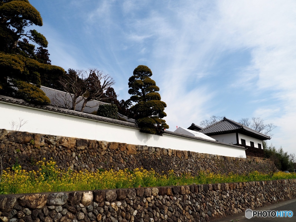 旧新井家住宅（有形文化財）
