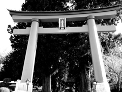 川口浅間神社１