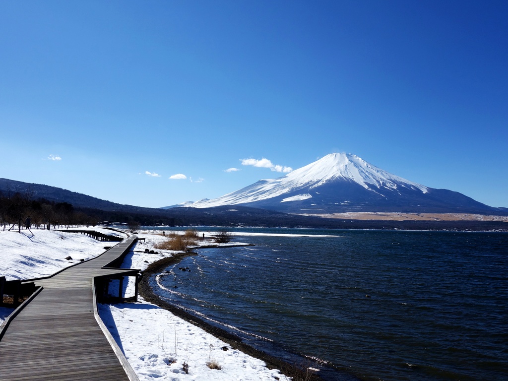 山中湖交流プラザ（きらら）から