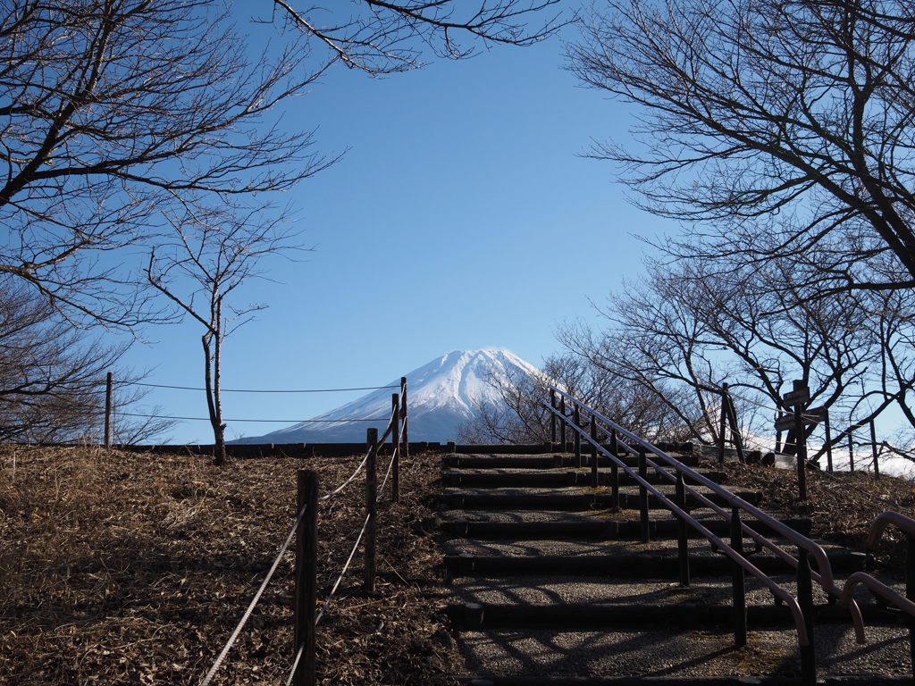 道の駅朝霧高原