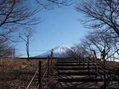 道の駅朝霧高原