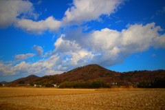 里山（ジオラマ風加工）