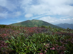 谷川連峰（平標山）