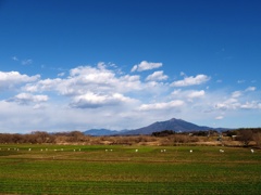 筑波山（小貝川の土手から）