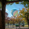 公園の秋に熱気球