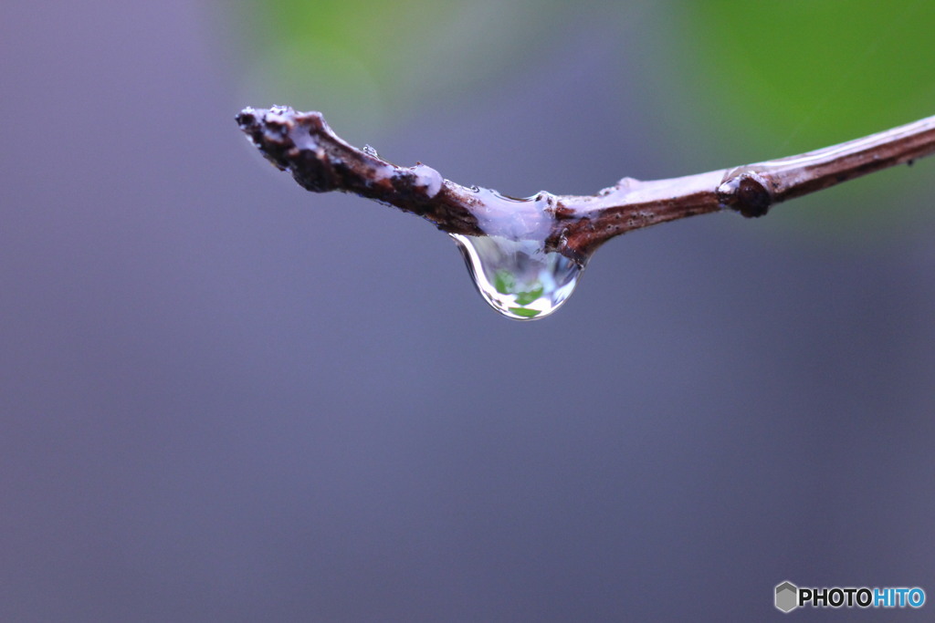 雨粒④