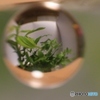 水晶玉遊び☆①