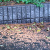 雨が嫌いな理由