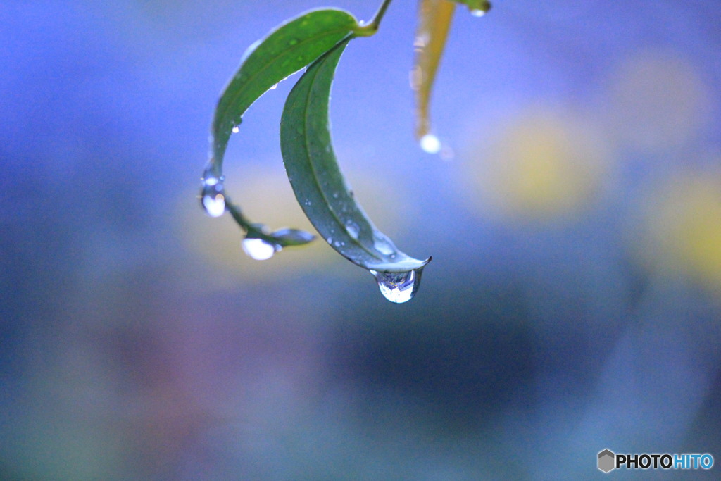 雨もまた楽し・・・