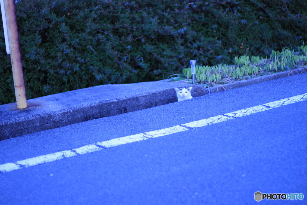 早く行ってーーー