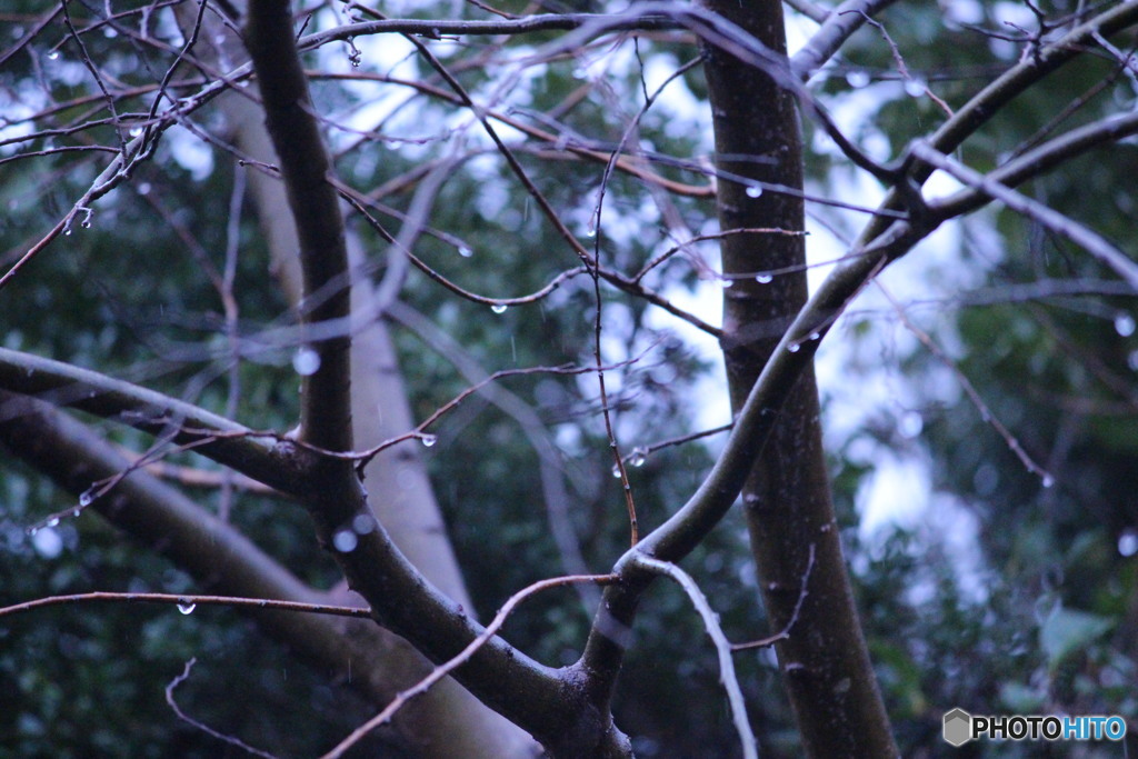 雨粒①