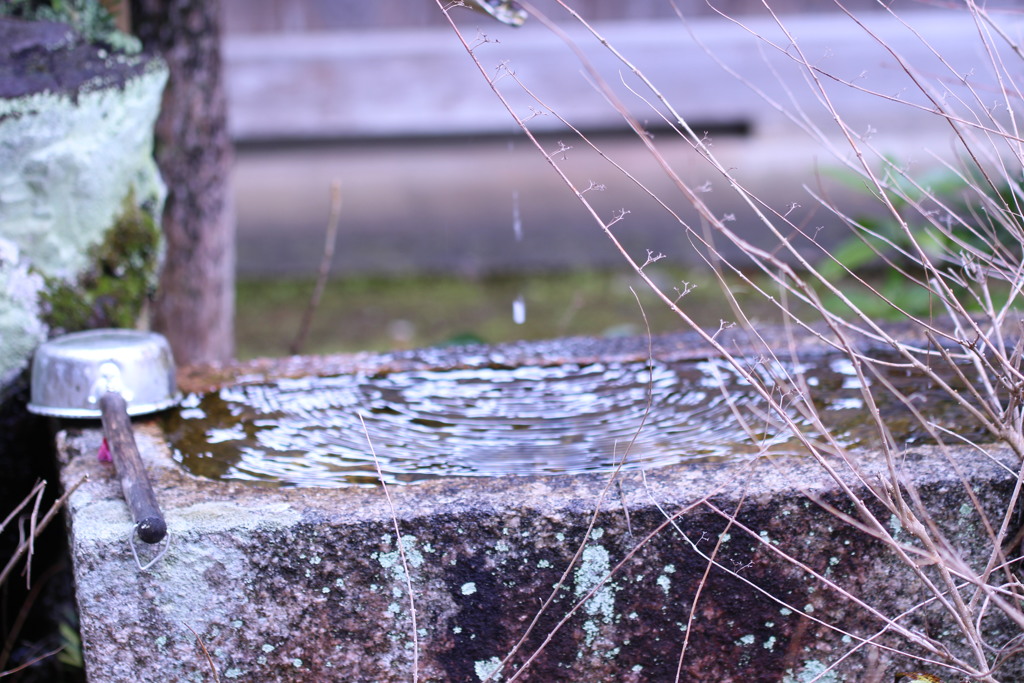 お寺の手水舎