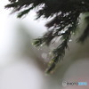 雨粒⑱
