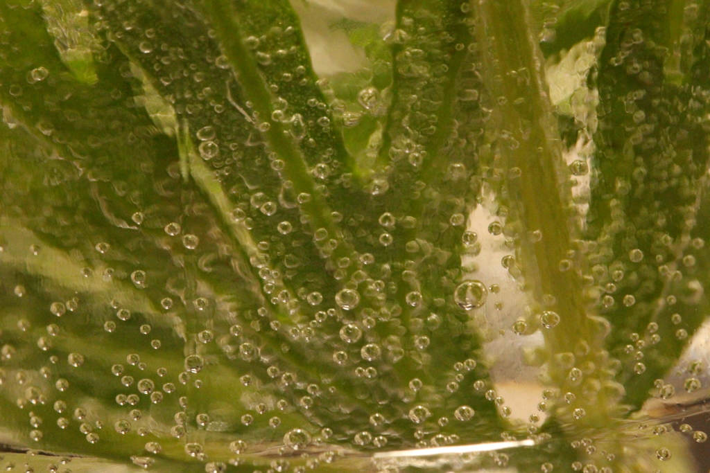 水滴…じゃなく気泡ですね