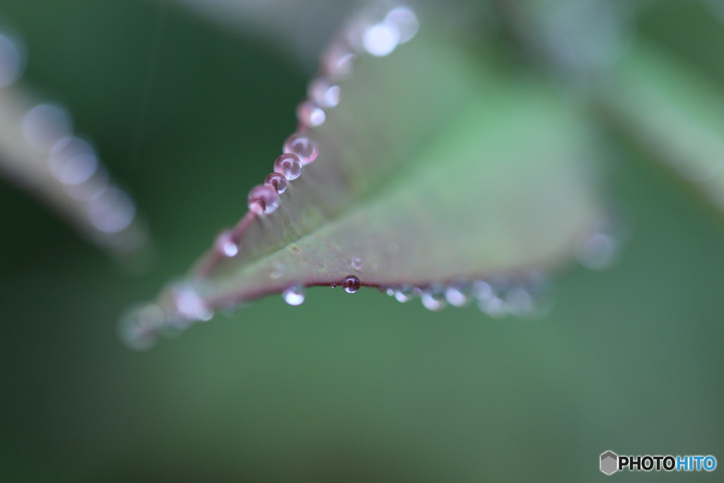 雨粒⑪