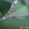 雨粒⑪