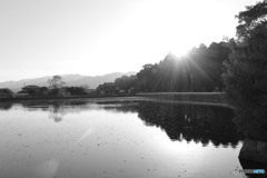 池と夕日②
