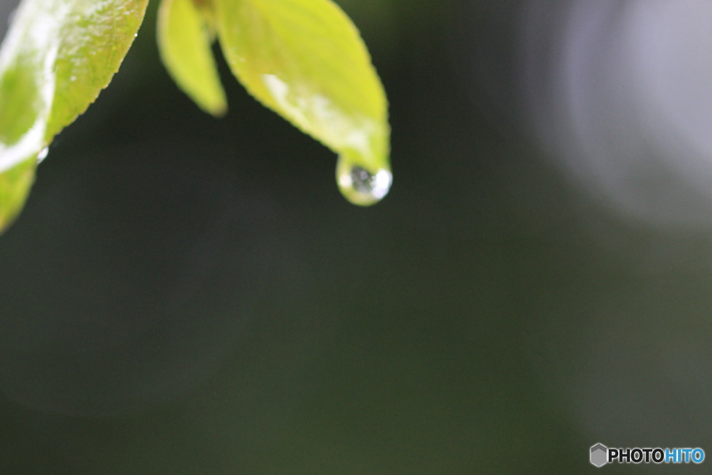 雨粒⑯