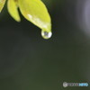 雨粒⑯