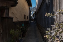 22年 2月　鞆の浦　路地裏