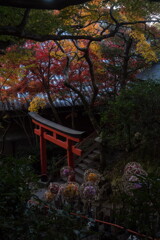 楊谷寺の朱鳥居