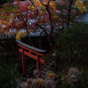 楊谷寺の朱鳥居