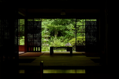 窓から見える情景　古都鎌倉の緑