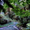 世界を歩く旅（NZ編）
