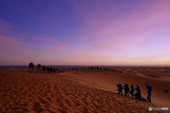 レジャーランド化するサハラ砂漠のモデル撮影会